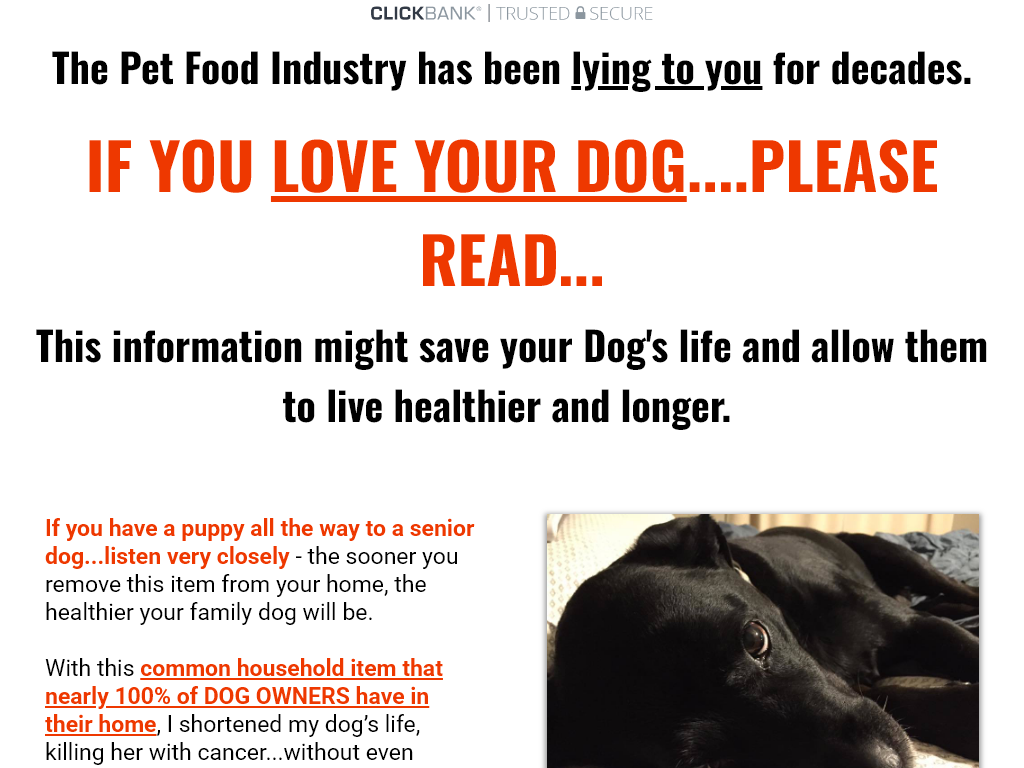 Top Dog Food Product Official Review