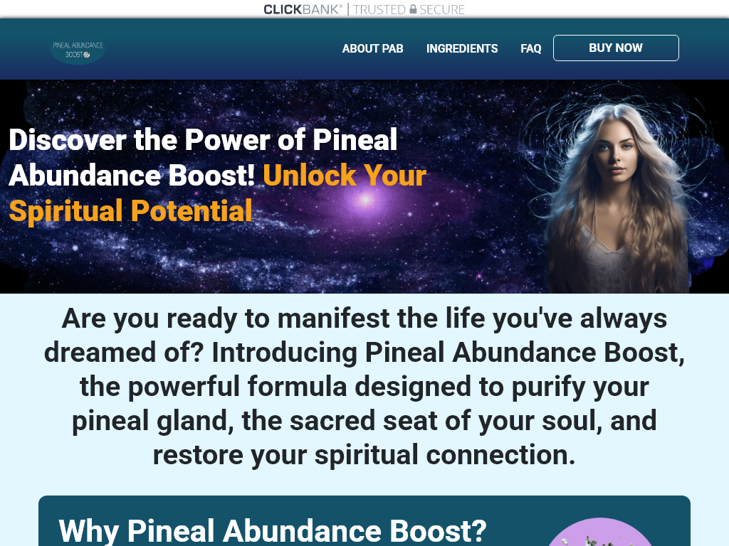 Visit The Official Website